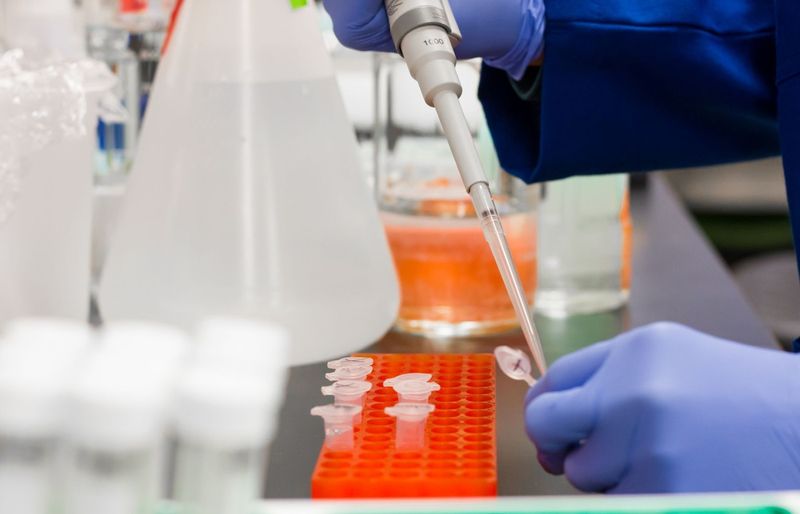 Microbiology Lab Practical Practice Exam course image