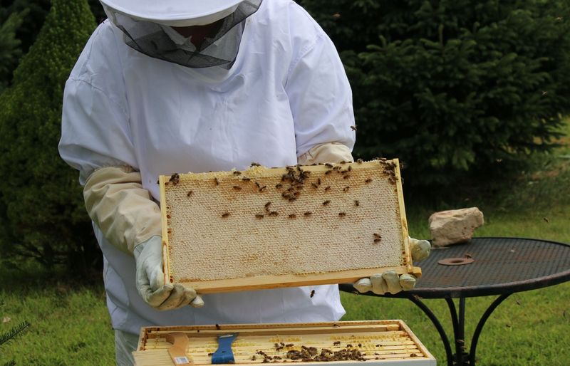 Michigan General Pest Management 7A Practice Test course image