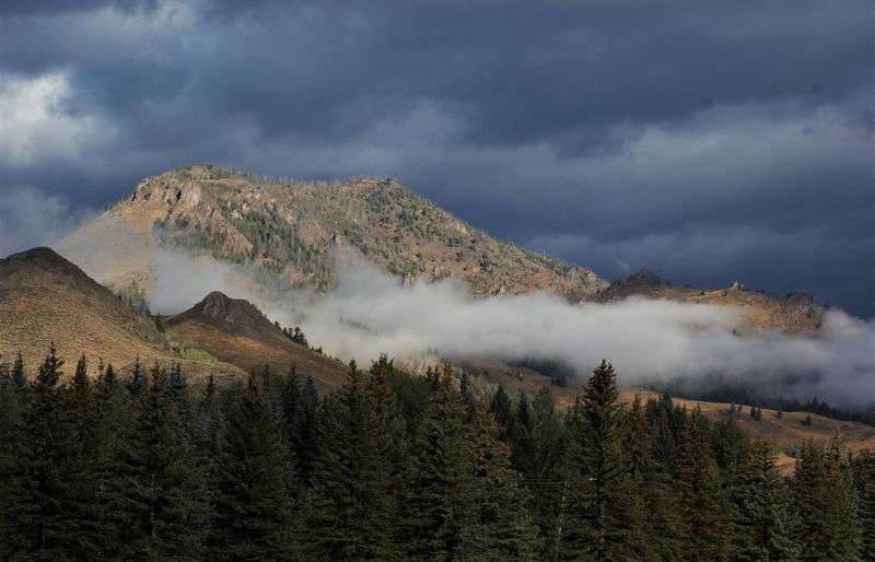 Montana MPJE Practice Exam course image