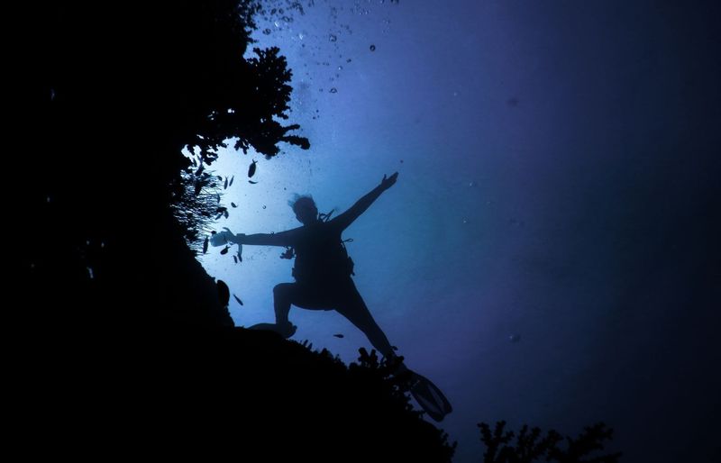 NAUI Scuba Diver Practice exam course image