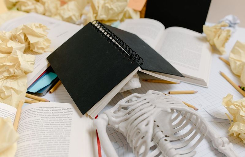 Examzify course visual