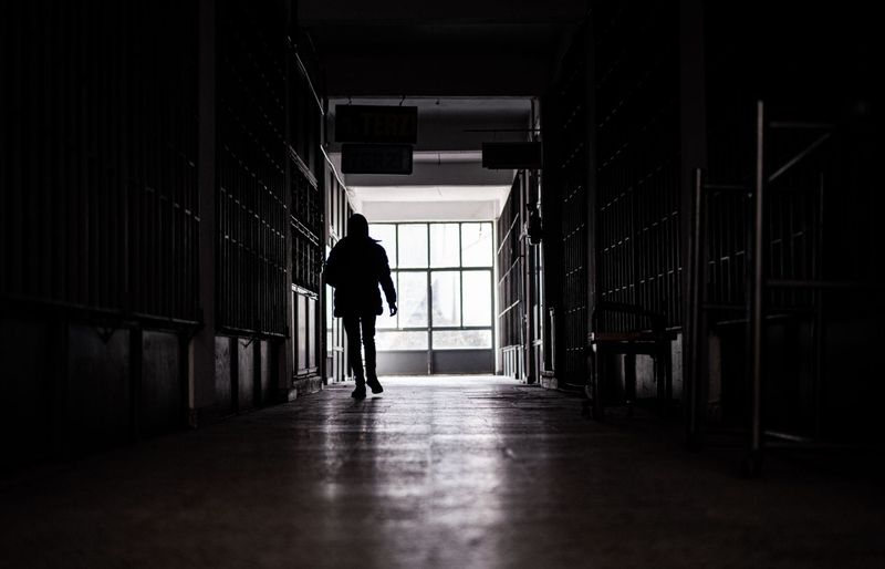 Examzify course visual