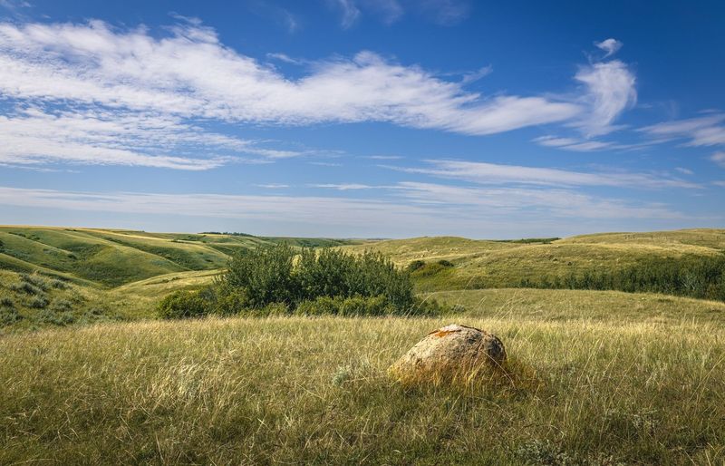 Nebraska Funeral  Licensure Practice Exam course image