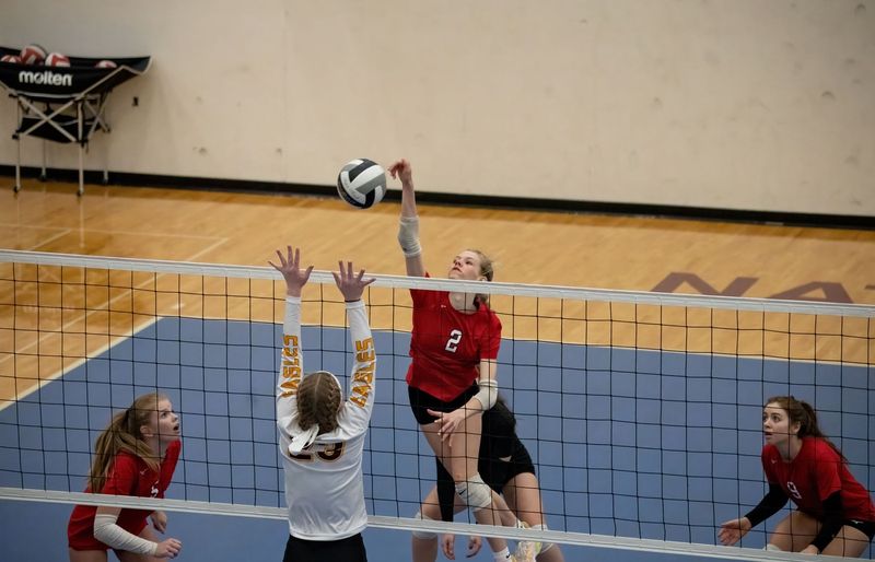 NFHS Volleyball Practice Exam course image