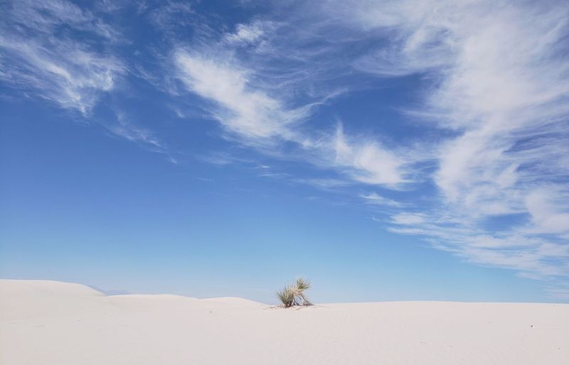 New Mexico General Pesticide Practice Exam course image