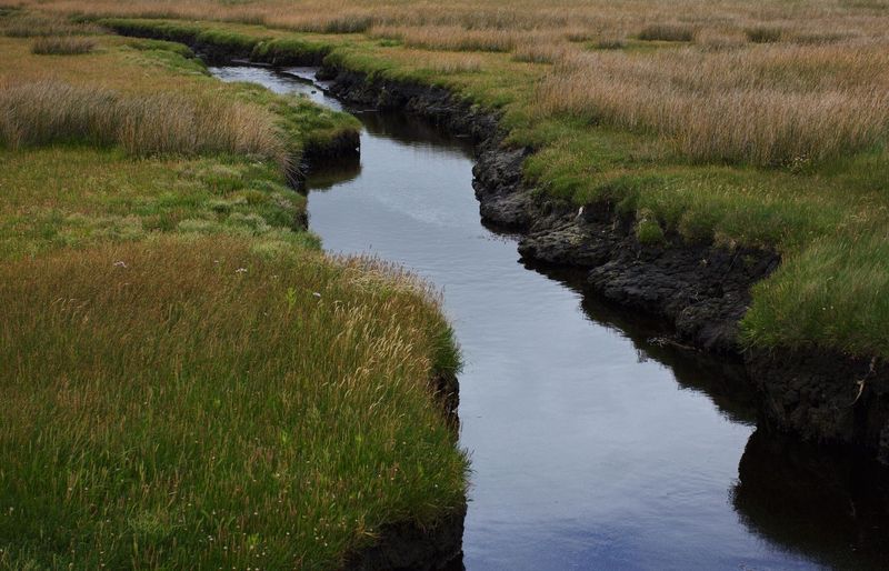 Non-Point Source Pollution Envirothon Practice Test course image