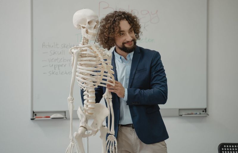 Nevada Chiropractic License