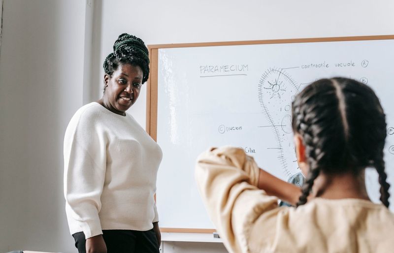 Examzify course visual