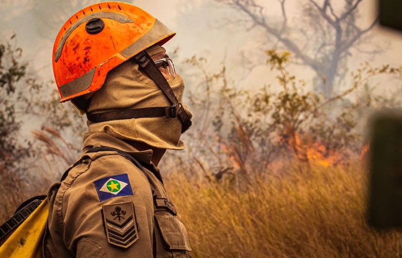 OCFA Wildland
