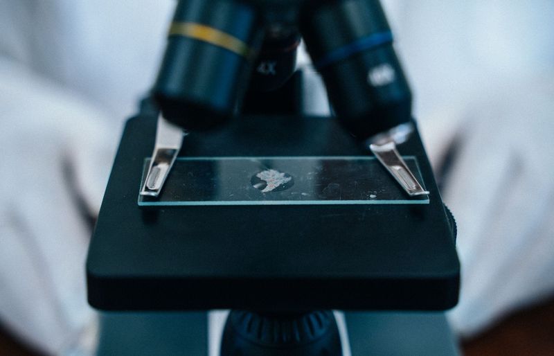 Optical Coherence Tomography (OCT) C Fundamentals Practice Test course image