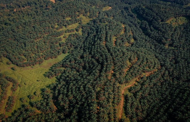 Oregon Forestry Pesticide Applicator