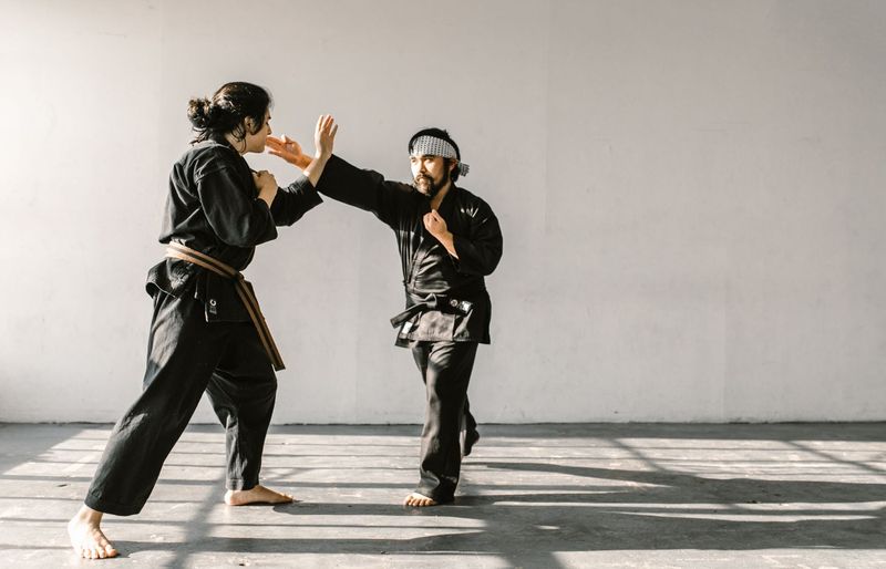 Parks Senior Red Belt Practice Test course image