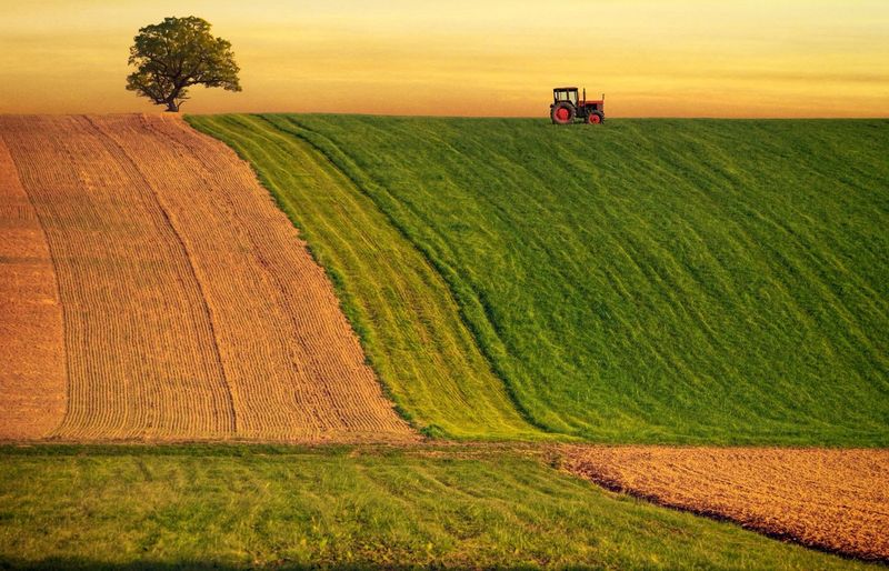Praxis Agriculture (5701) Practice Exam course image