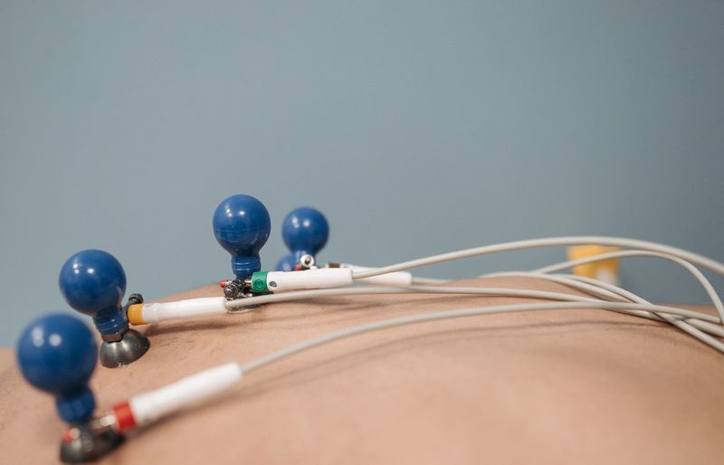 PTP 5 Fitting Assistive Devices, Weight Bearing Statuses Practice Test course image