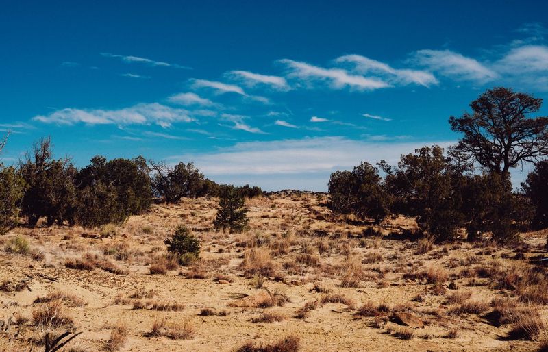 Rangeland Pest Control Practice Test course image