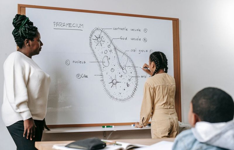 Examzify course visual