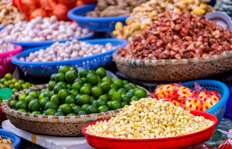 The Role of Nutrition in our Health