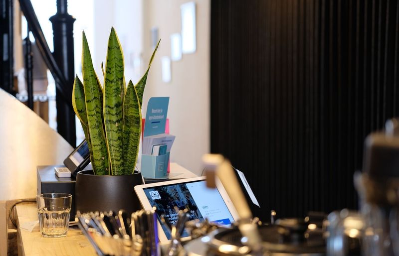 Master the Rooms Division Challenge 2026 – Unlock Hospitality Success! course image
