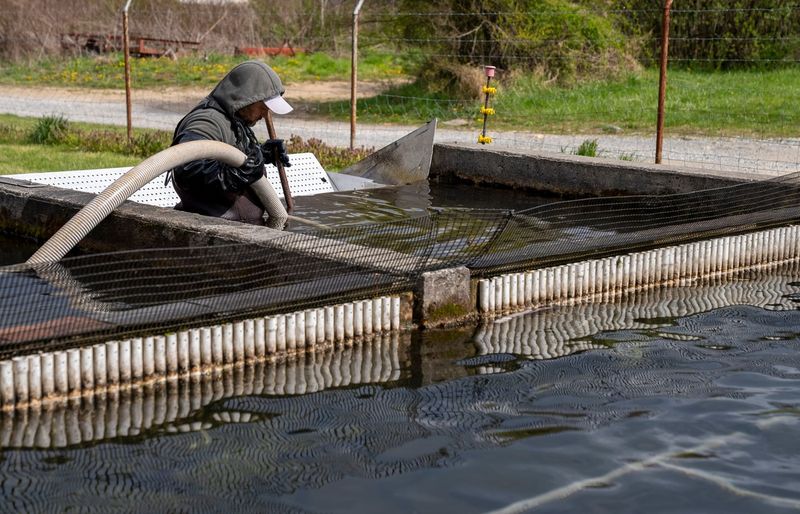 Sewer Collection Systems Operator Practice Test course image