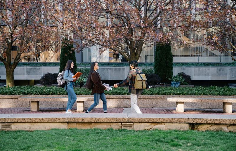 SMCC Orientation Proctored Practice Exam course image