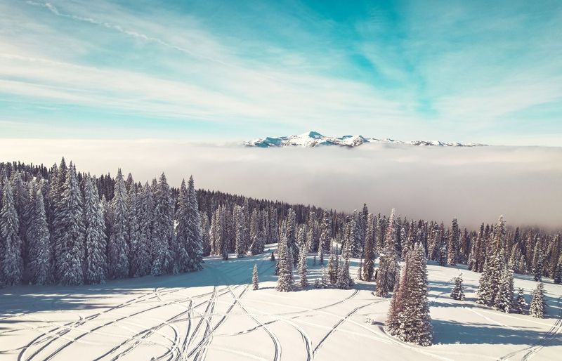 SnowPro Advanced Architect Practice Test course image