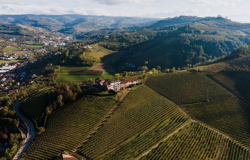 Southern Hemisphere Total Wine Professional (TWP) Practice Test course image