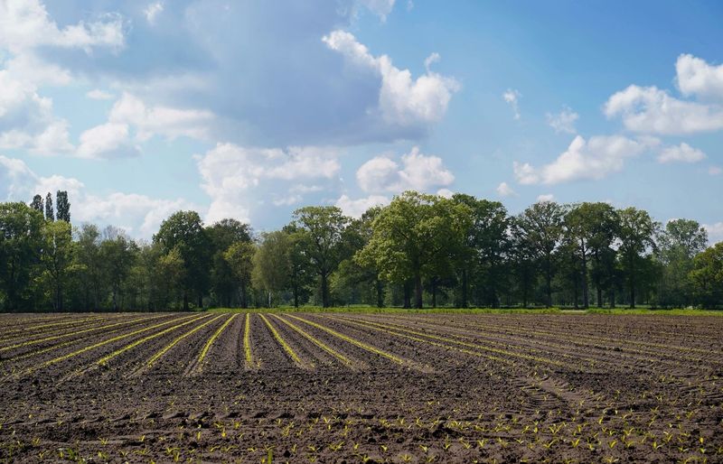 Specialty Crops Practice Exam course image