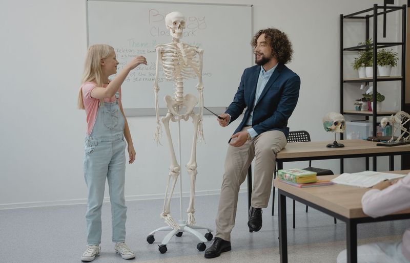 Spinal Anatomy Exam III Practice