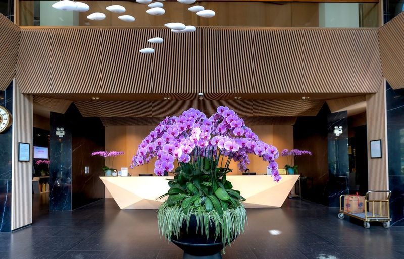 START Front Desk Representative Online Course