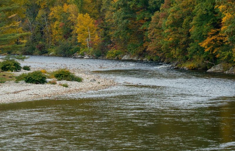 Swift River Fundamentals Practice Test course image