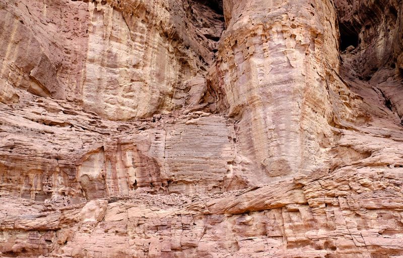 Texas A&M University (TAMU) GEOL 104 Physical Geology Exam 1 Practice Exam course image