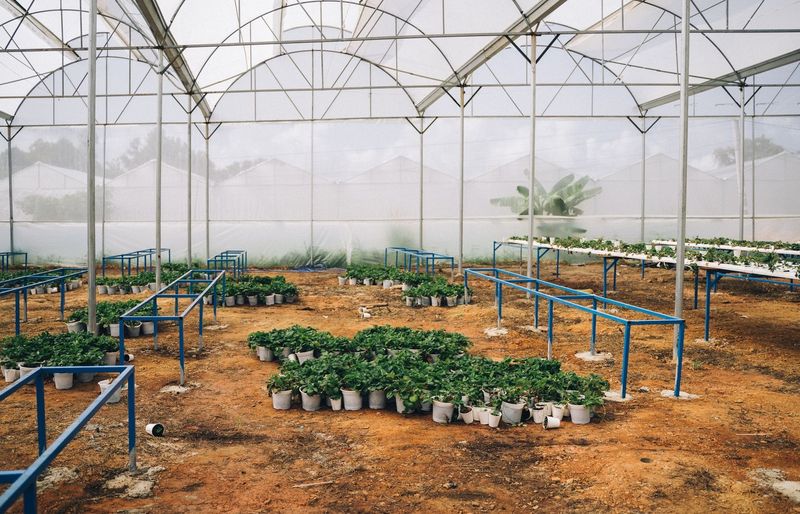 Texas A&M University (TAMU) HORT 201 Horticultural Science and Practices Exam 1 Practice course image