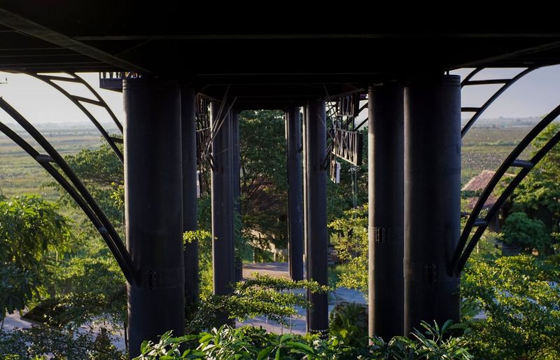 TAPP Tropical Architecture