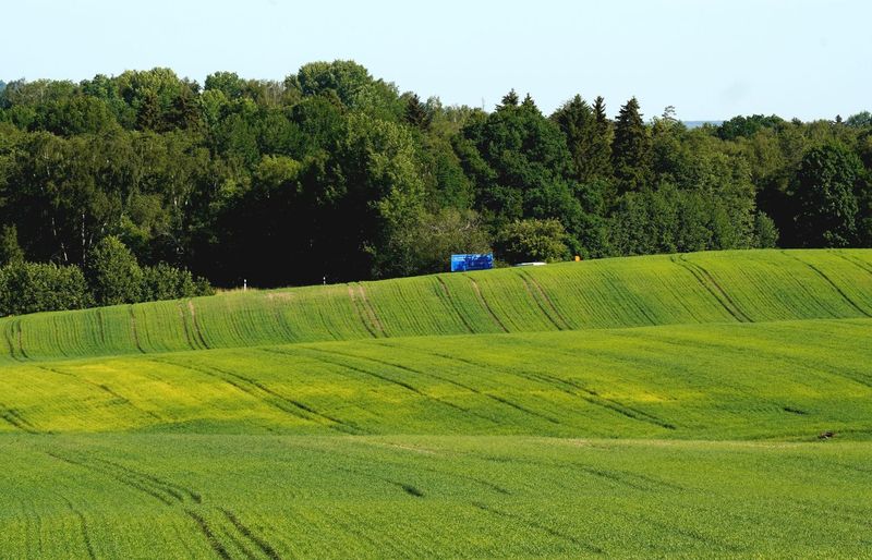 Tennessee Specific Surveying (TS)