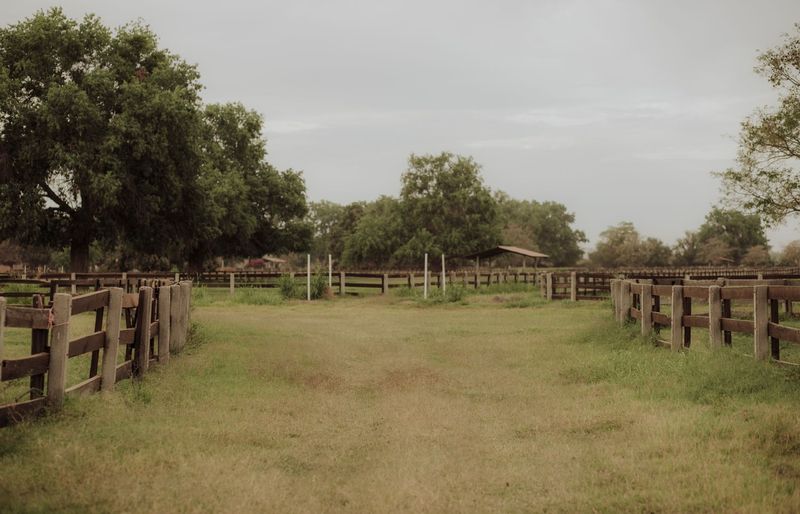 Texas FFA Nursery Landscape