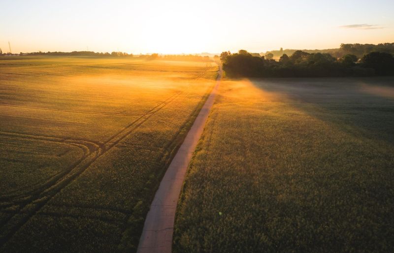 TExES Agriculture, Food and Natural Resources 6-12 (272) Practice Test course image