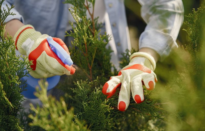TruGreen Pesticide Certification (6, 3A, 3B)