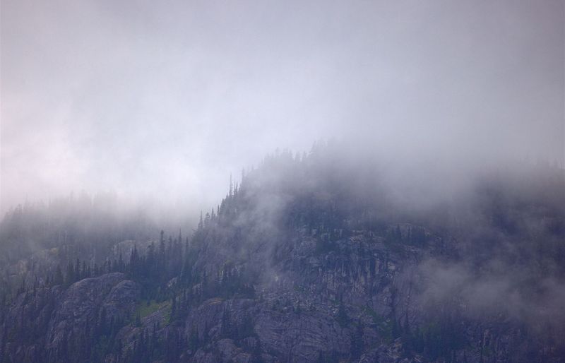 Twin Peaks Menu