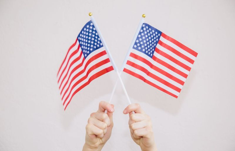 USCIS Civics AHS Specific