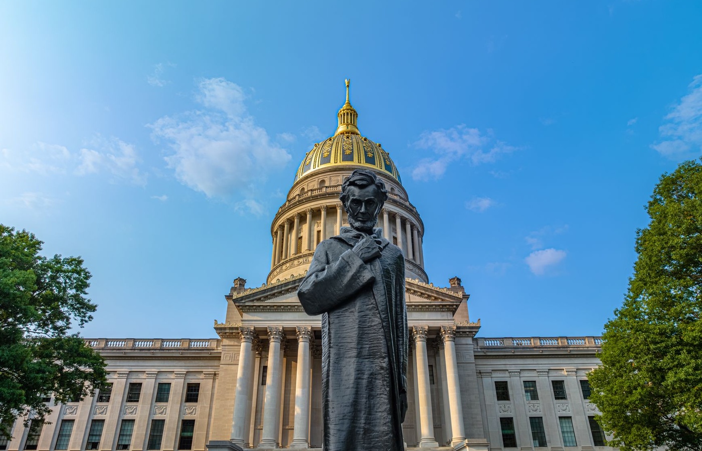 USG Georgia History Legislative Requirement