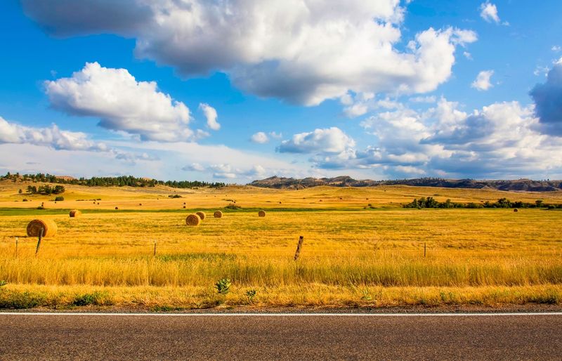 US History Westward Expansion Practice Exam course image