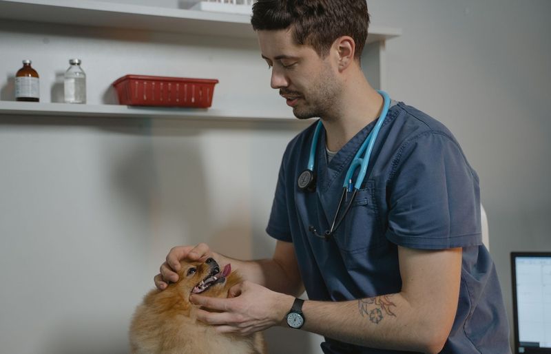 Veterinary Medicine