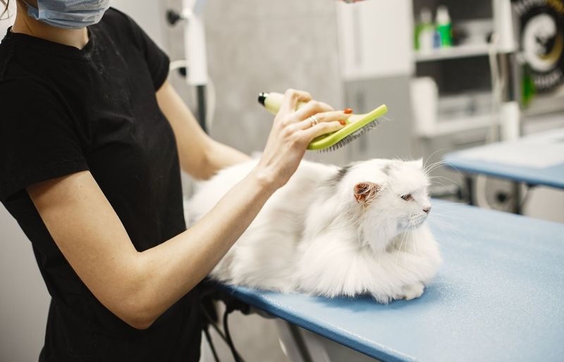 Veterinary Medication Clerk License Practice Test course image