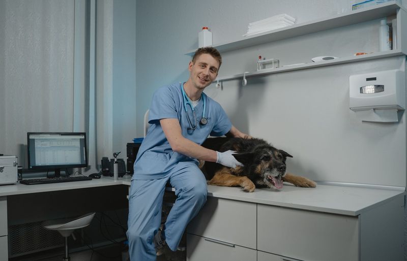 VetSkill Level 3 Diploma VN01 – Professional Veterinary Nursing Responsibilities Practice Test course image