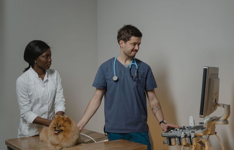 VetSkill Level 3 Diploma VN03 – Principles of Veterinary Nursing Care 1