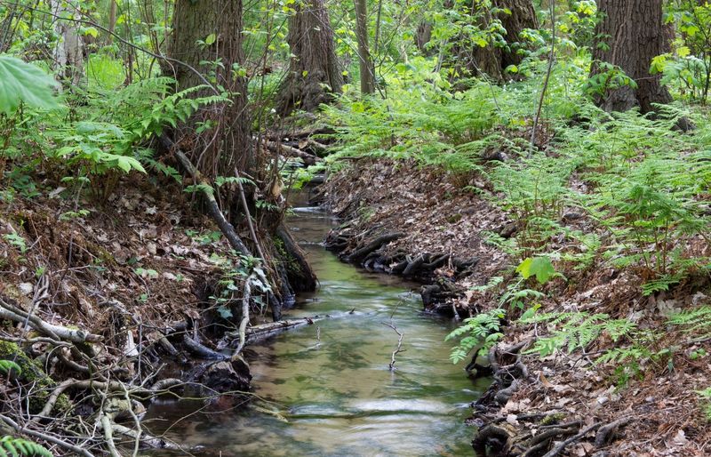 Walmart Stormwater Pollution Prevention (SWPP)