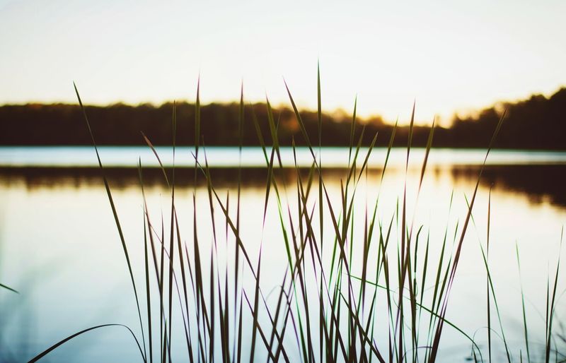 Washington Aquatic Pesticide Practice Exam course image