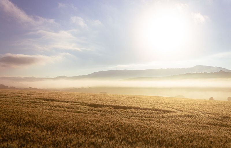 WebXam Agriculture, Food, and Natural Resources (AFNR) Practice Test course image