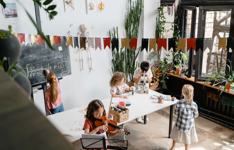 Western Governors University (WGU) EDUC2216 D094 Educational Psychology and Development of Children and Adolescents Practice Exam course image